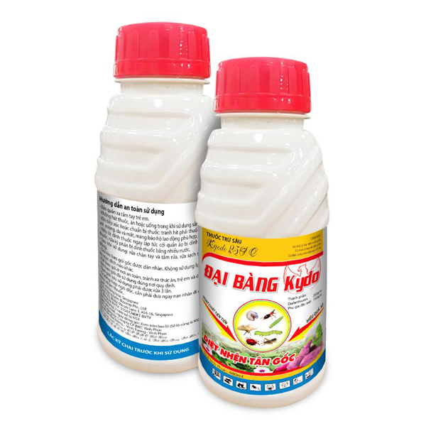 Đại bàng Kydo